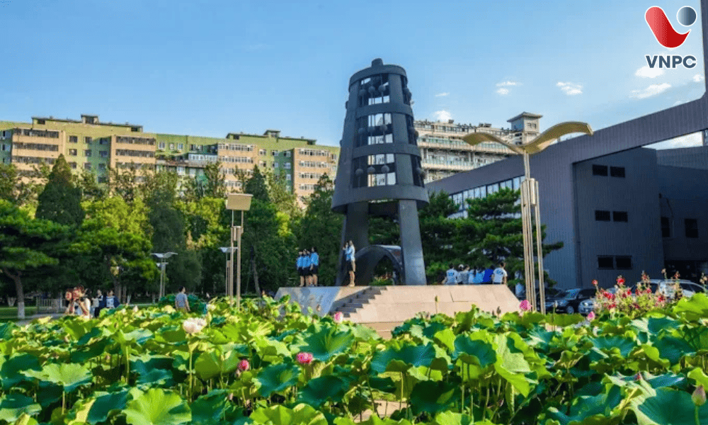 M.77King casino trực tuyến Sư phạm Bắc Kinh